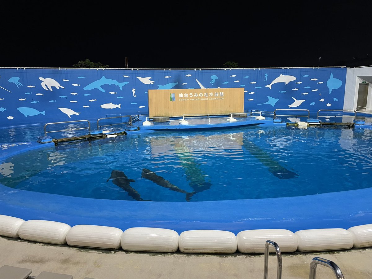 #おひとりさまナイト水族館 行ってきてた
ちょっと現地でラクガキもした 