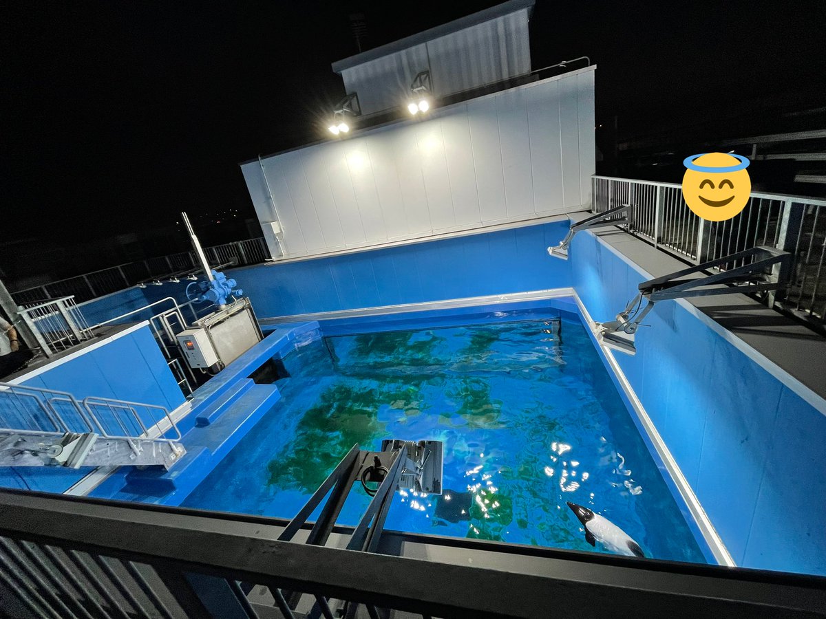 #おひとりさまナイト水族館 行ってきてた
ちょっと現地でラクガキもした 