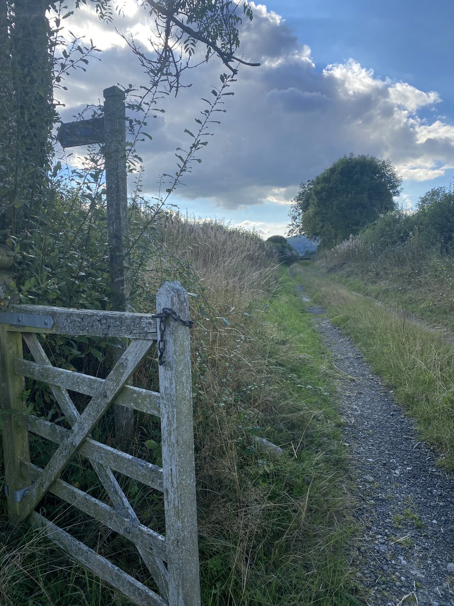 2xjane's tweet photo. A lonely lane… https://t.co/tSFbYkbftc