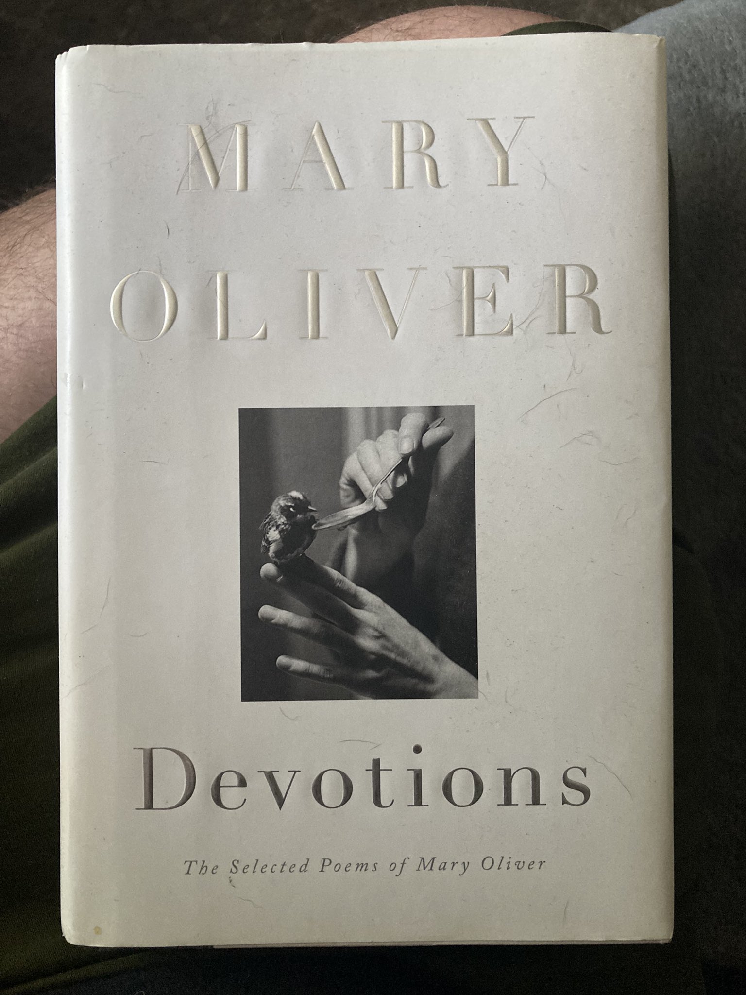 Happy birthday Mary Oliver 