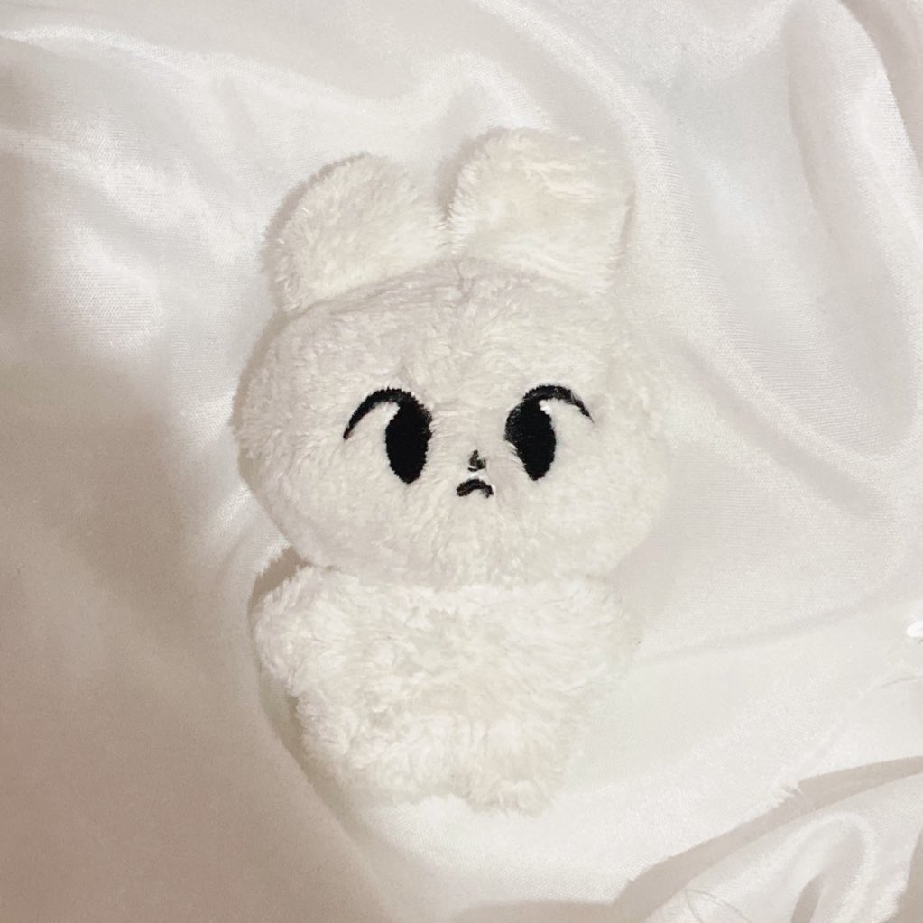 mymalodie's tweet photo. ส่งต่อ!🎀
~ตุ๊กตาโดยอง คิมฮาโด kim haddo สีขาว 490฿ ส่งฟรี

#ตลาดนัดnct #ตลาดนัดnct127 #ตลาดนัดnctdream #ตุ๊กตาnct #ตลาดนัดอซท #ตุ๊กตาโดยอง https://t.co/XlFdzIGxn1