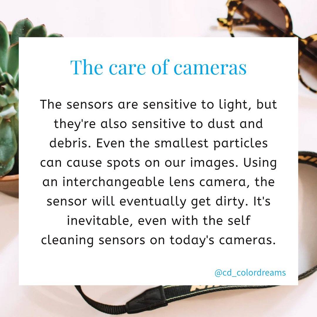 cdcolordreams's tweet photo. Camera Care Tip! https://t.co/Q4VS6aNUE4
