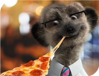meerkat_mob's tweet photo. To celebrate the launch of our discord we are giving away a Pizza (or $ADA equivalent) 🍕

Like/RT 
Follow: @meerkat_mob 
Tag #CNFT friends👇

#CNFTCommunity #CardanoNFT #NFTCommunity  #NFTGiveaway #CNFTGiveaway #NFT #NFTs #MeerkatMob https://t.co/iU0MbndELF
