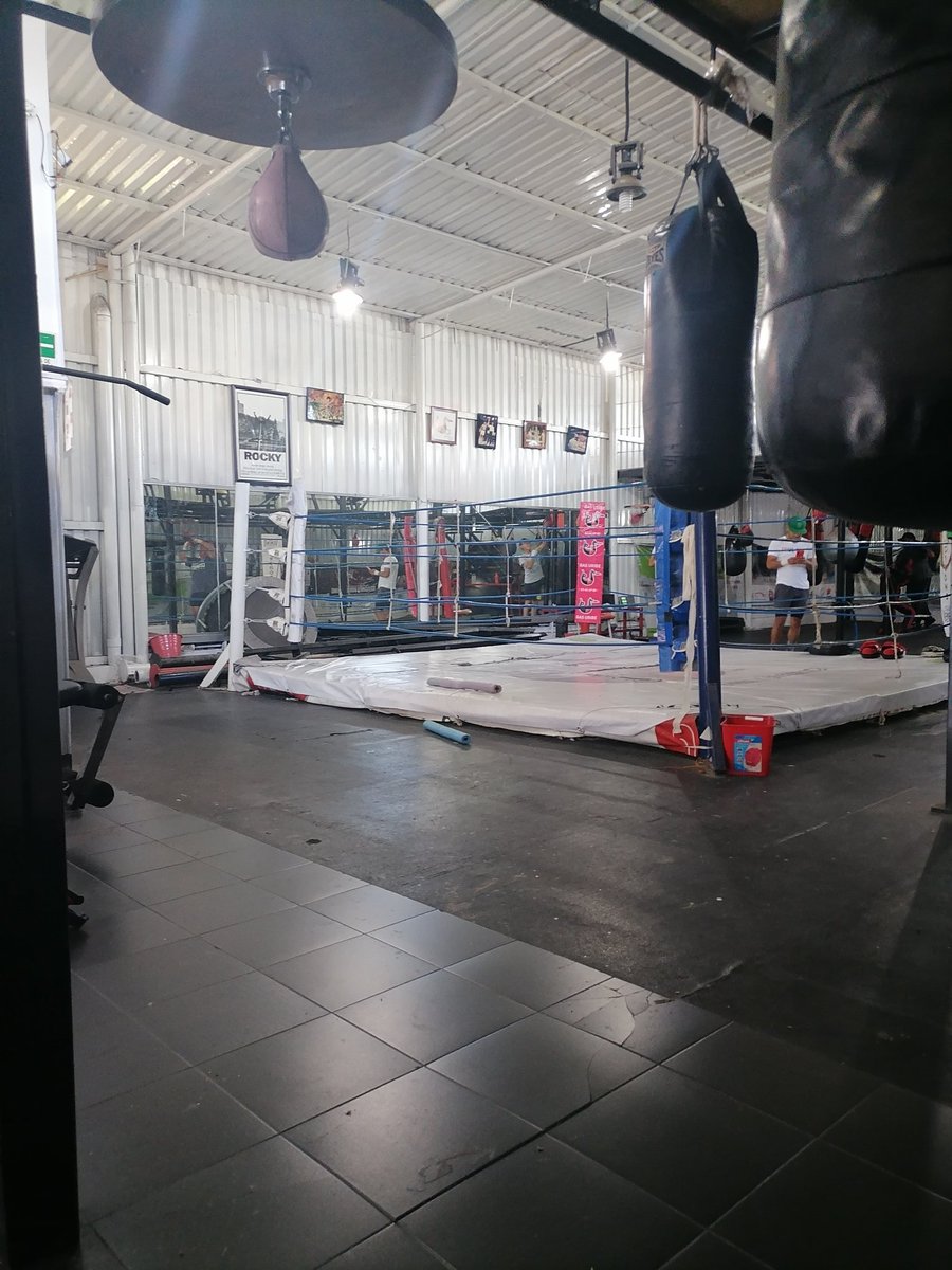 cesargutipri's tweet photo. Ya entrenando, sin pretextos para el 22 de septiembre. https://t.co/YGyQUp1zge