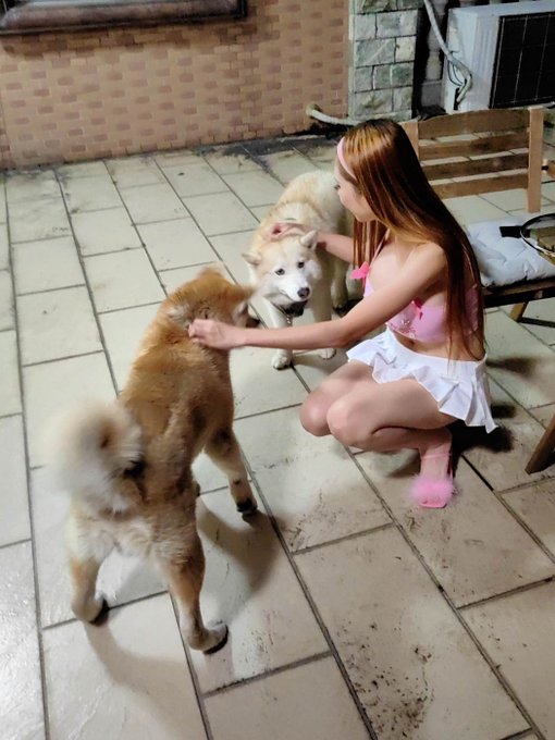 🥮Happy Mid-Autumn Festival🥮  I had a couple of (camera shy) friends over for hotpot, and Momo and Facai