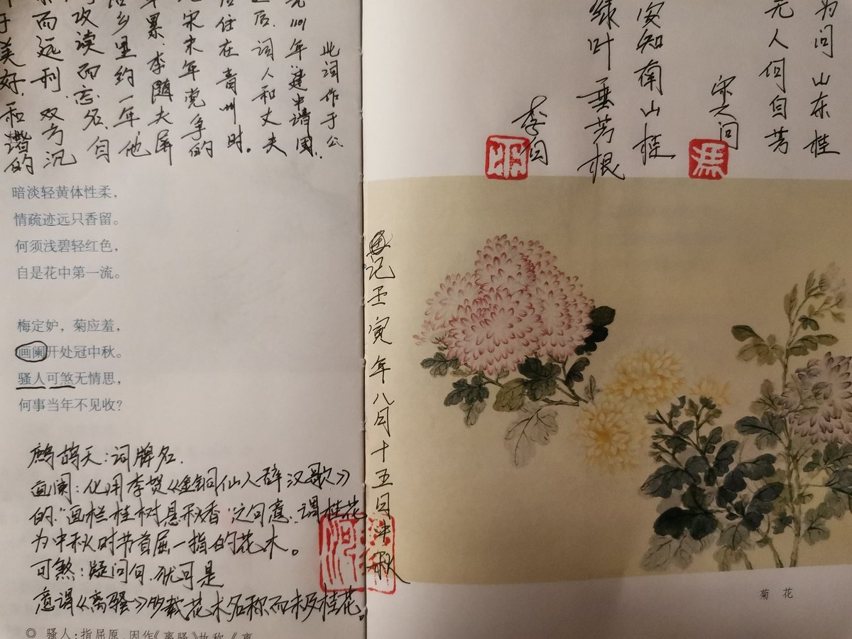 花朝十一 Xianghel Twitter