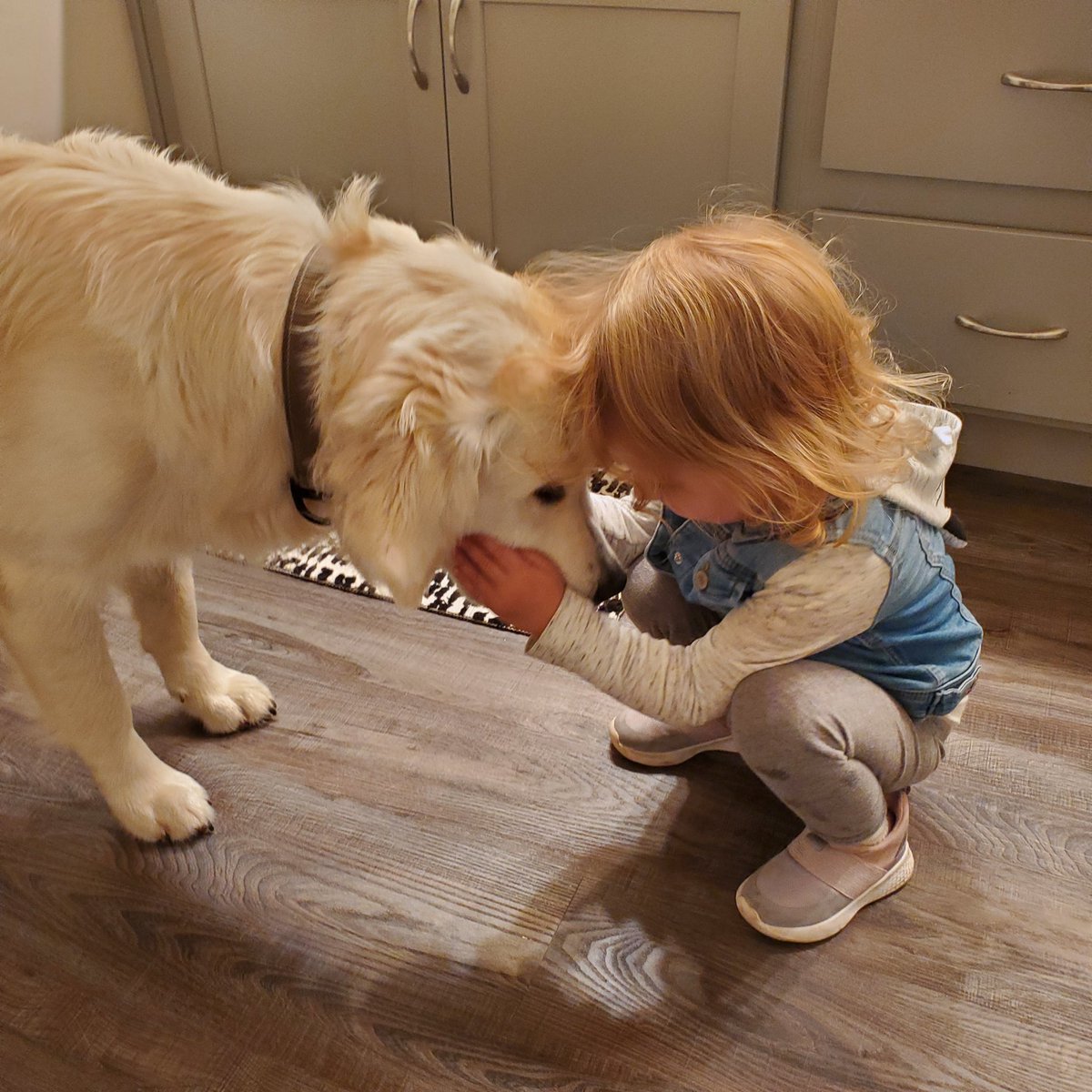 KWeidner4's tweet photo. Sofia and Wrigley!!! https://t.co/ERfUBGsEGN