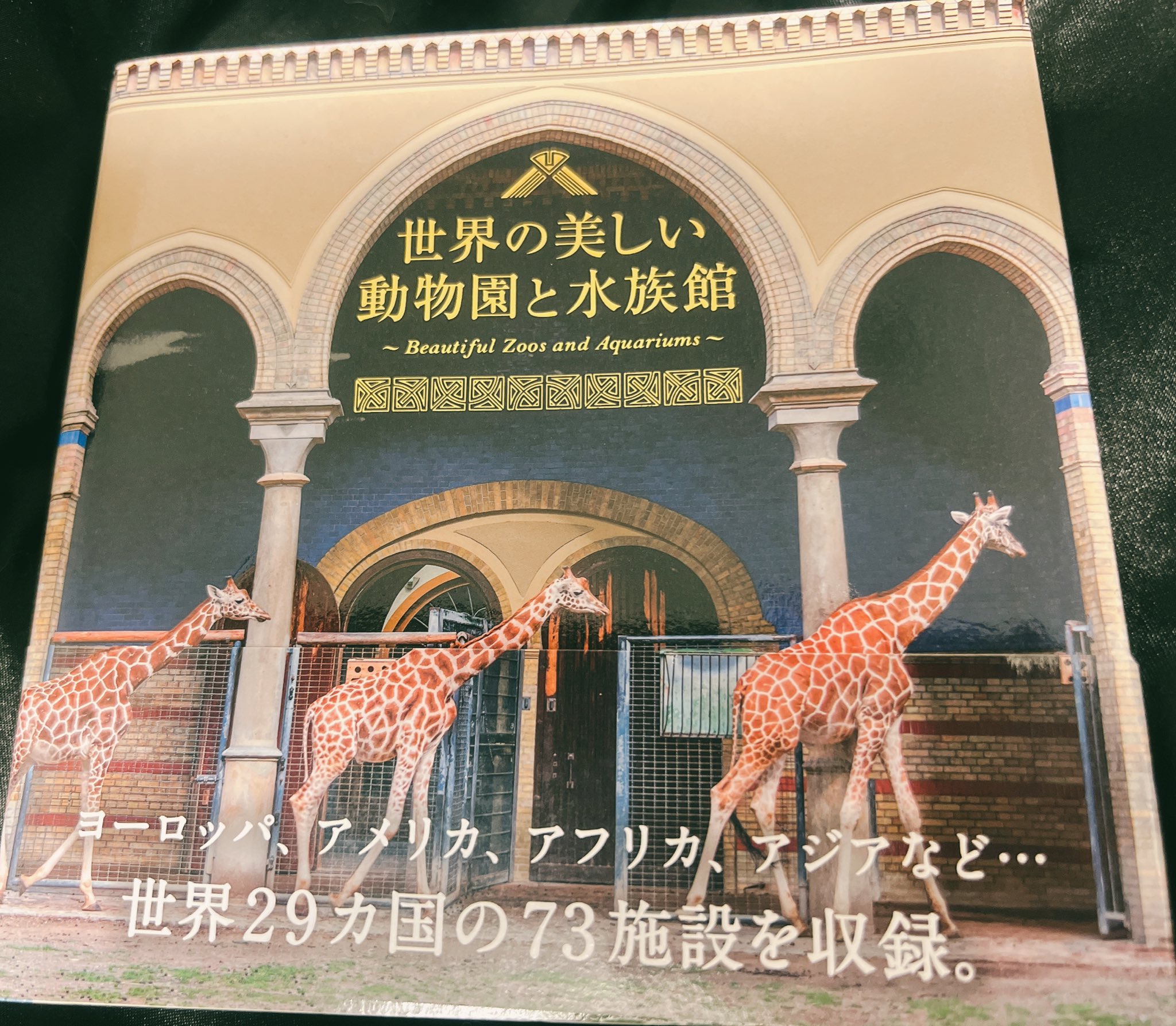 تويتر 𝕞𝕚𝕪𝕒𝕜𝕠 10 15 幡ヶ谷仮面展 على تويتر 素敵すぎる写真集買った 動物園と水族館がめちゃくちゃ好き 研究施設が併設されている所とか遺産並みの建築の所とかもう萌え過ぎて禿げた いつか行く T Co Uuh0cmhwgi