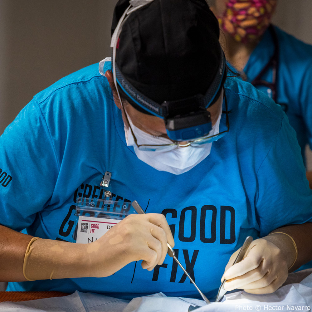 GreaterGoodorg's tweet photo. We celebrated our 14th anniversary with the launch of #GoodFix! It kicked off in Kauai, where the team conducted a clinic to help the community through sterilization services, vaccines & microchips! Keep your eyes here for clinics in new places as Good Fix grows!π #15YearsofGGC https://t.co/GFUj52W81w