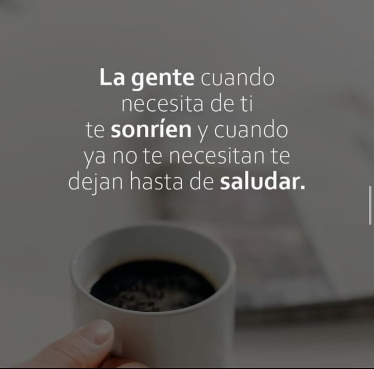 PauloCoelhoDice's tweet image. 