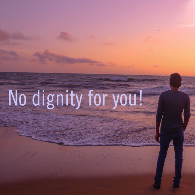 local cryptid 🥃🚘 tweet media