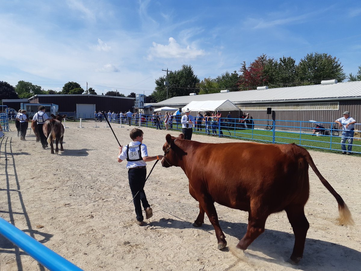 TheGrand101FM's tweet photo. Have some fun this weekend at the 166th Annual Arthur Fall Fair!
This year's theme is "Let's Celebrate!"
Food vendors, farm animals, bouncy castles for the kids, tractors and MUCH MORE! #ArthurFallFair @TwpWellNorth @wellingtncounty π¨π¦ππ https://t.co/xDfZwX08Ki