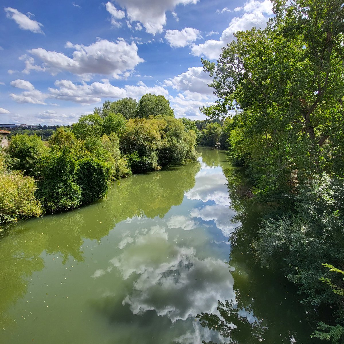 Quinadelart's tweet photo. Nada superará, nunca, la belleza de la naturaleza. Río Arga a su paso por Pamplona.

#Río #River #Reflejos #RíoArga #Pamplona #MisViajes #MisRecuerdos #Naturaleza #Nature #SinFiltros #SinEditar #NoFilter #nofilterneeded #nonecesitafiltro https://t.co/PDcpLiaDT2