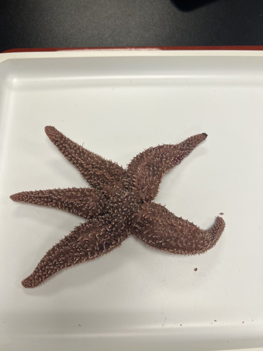 Mrs. Redmon tweet media