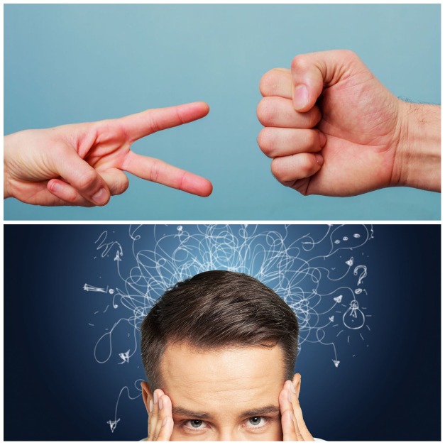 Living Magazine tweet media