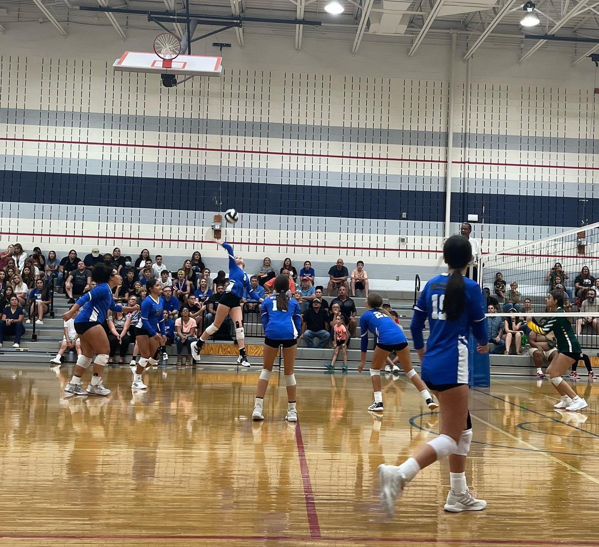 Wayside_MS's tweet photo. Volleyball 🏐 with a sweep 🧹 of PVMS on Thursday moving to 2-0 on the year! #GoWildcats

Thanks to Coach Sims for the pictures! https://t.co/EHim9MyGRl