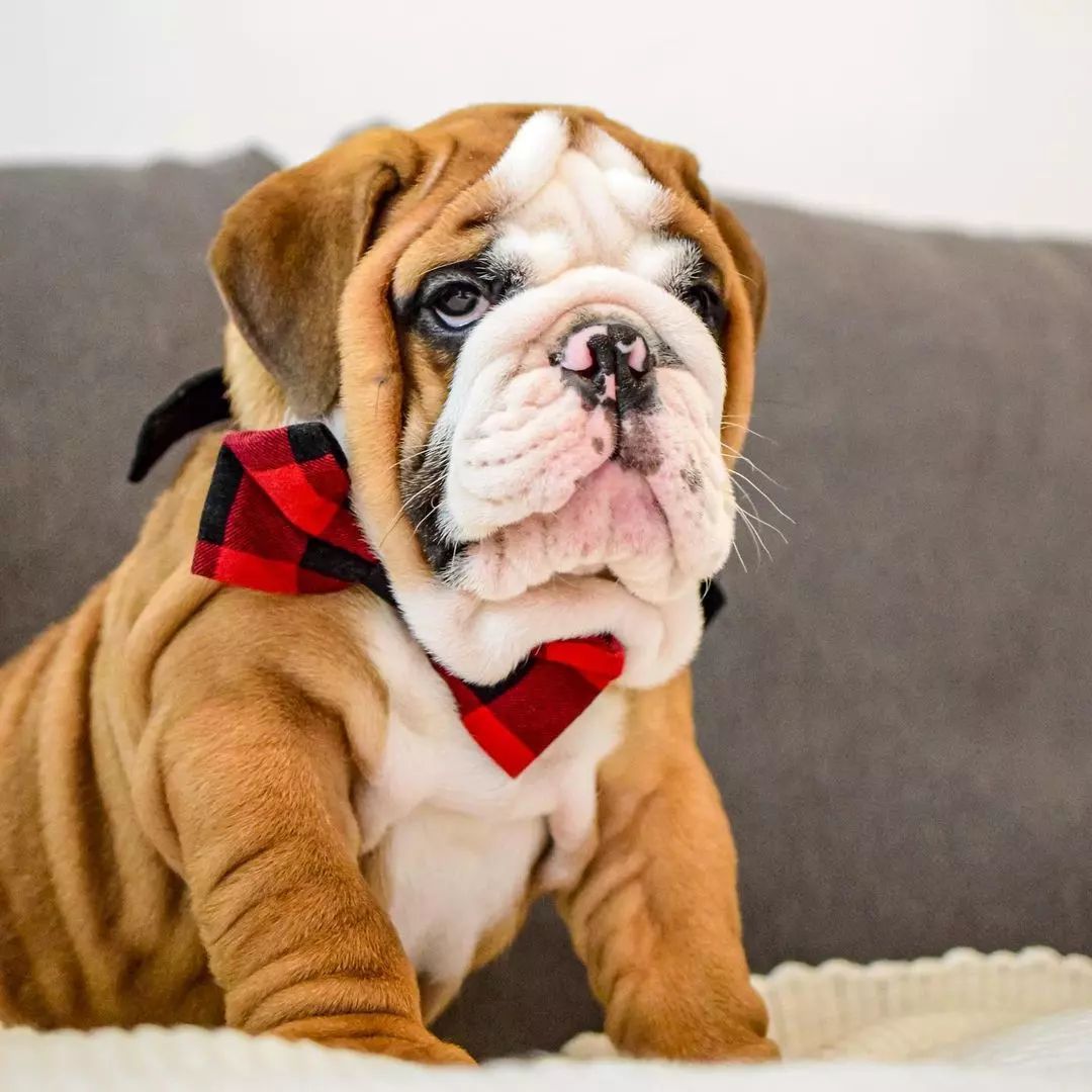 Cody Connor tweet media