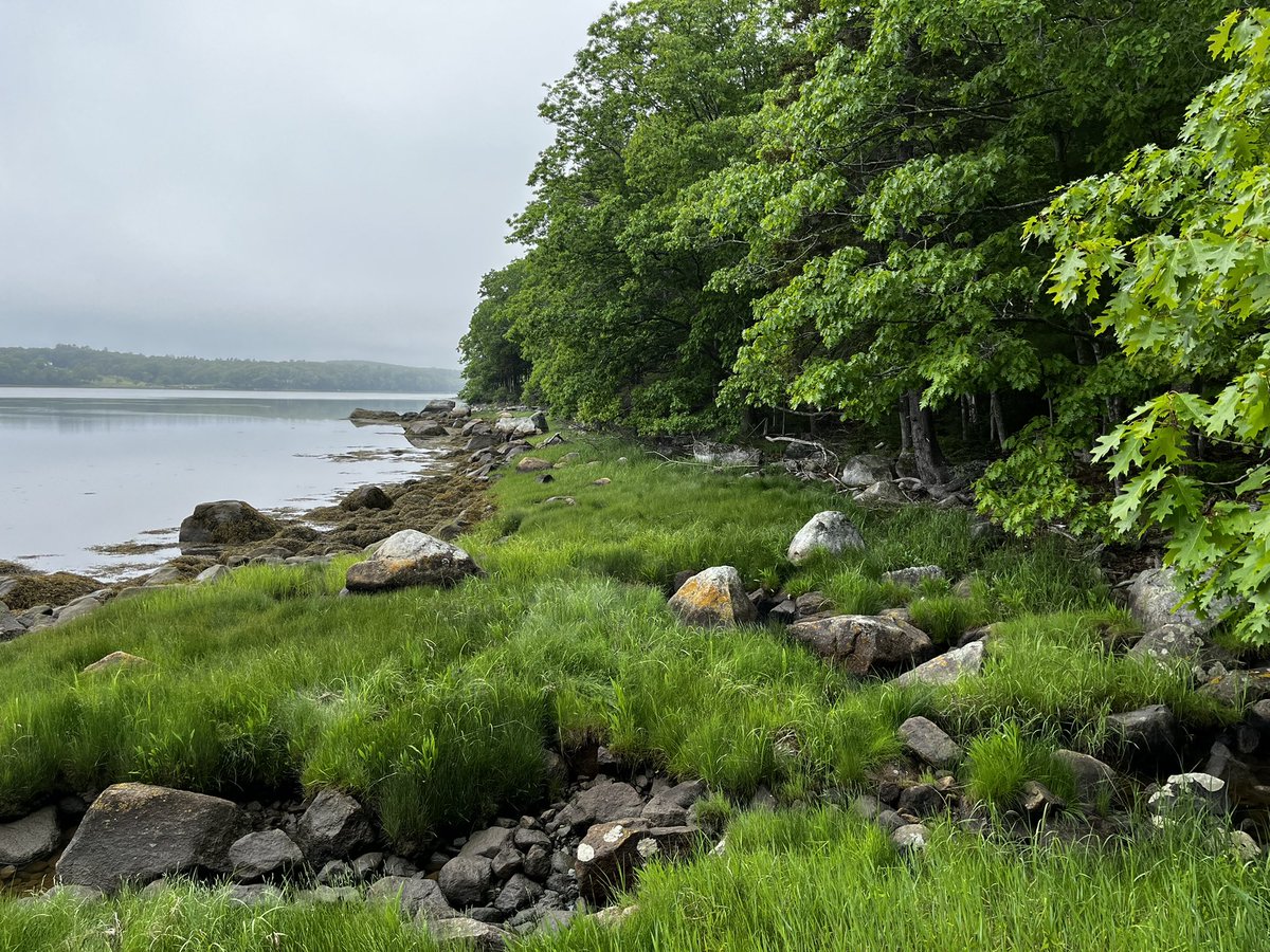 Dylan__Jamison's tweet photo. 🟩 Green 🟩

#nature #beautiful #love #travel #PHOTOS #photographer #travelphotography #maine #northeast #green #fypシ #Trending #twitter #wanderlust https://t.co/DP7HQ4Cl8s