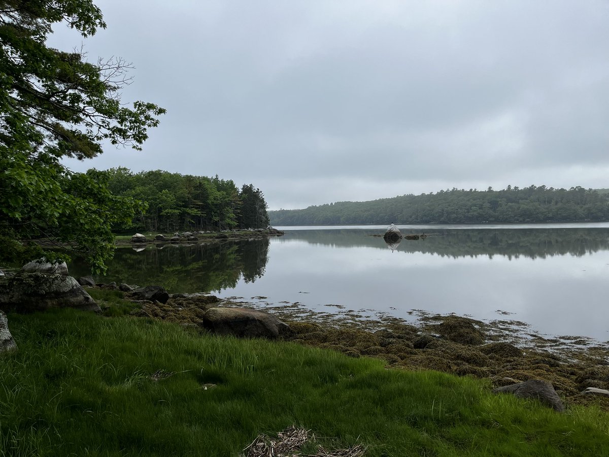 Dylan__Jamison's tweet photo. 🟩 Green 🟩

#nature #beautiful #love #travel #PHOTOS #photographer #travelphotography #maine #northeast #green #fypシ #Trending #twitter #wanderlust https://t.co/DP7HQ4Cl8s