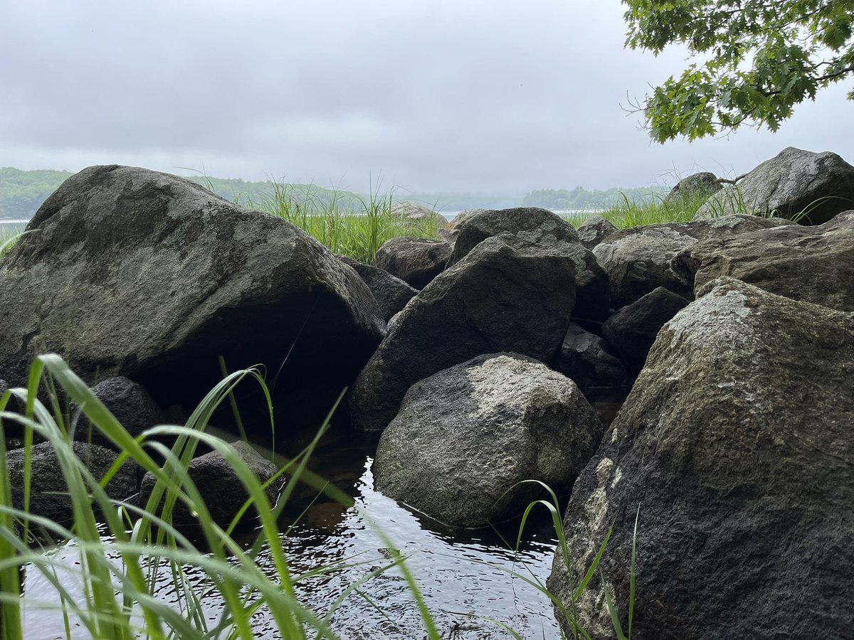 Dylan__Jamison's tweet photo. 🟩 Green 🟩

#nature #beautiful #love #travel #PHOTOS #photographer #travelphotography #maine #northeast #green #fypシ #Trending #twitter #wanderlust https://t.co/DP7HQ4Cl8s