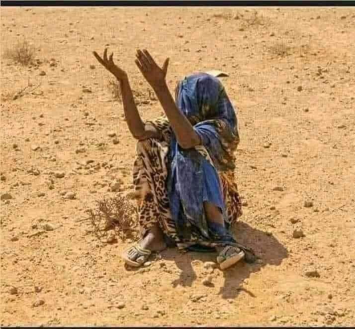 Abdirachiid's tweet photo. Finding a solution to the drought in Somalia is a collective responsibility for all of us. 
Our country must be prepared to adapt to climate change and be resilient to natural disasters that we will live with for a long time. 
#ClimateChangeChallenge . 
#Togetherwecanstand. https://t.co/cj1UoCILxA