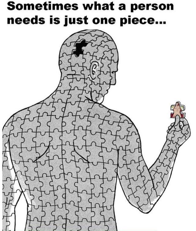 Sham_Shir17's tweet photo. The #ONEPIECE is within us all https://t.co/FzNyheBKh6