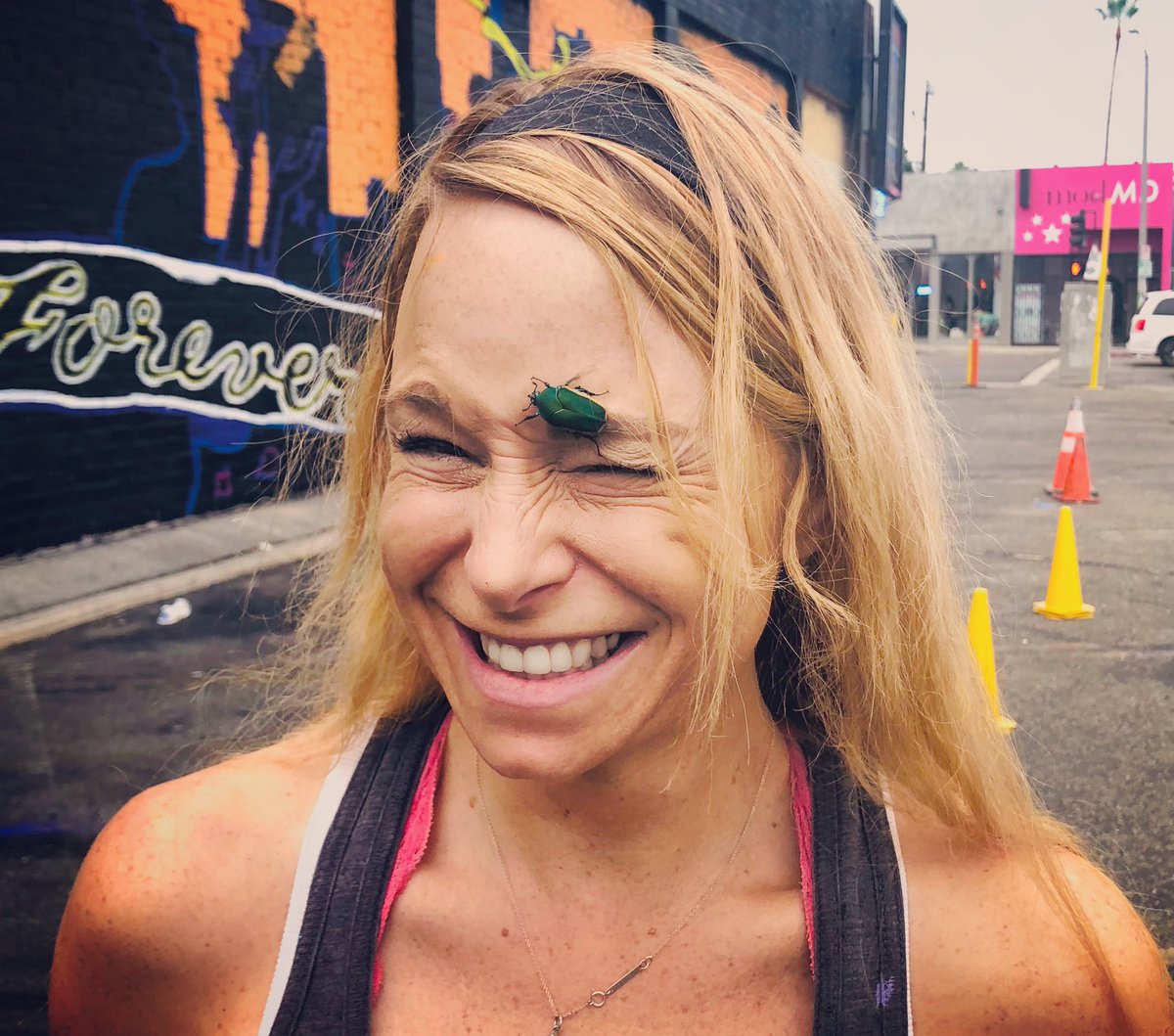 GeorgiaVanC's tweet photo. This little fella decided to be my buddy yesterday… wasn’t too pleased when we tried to remove him off my eye… second time this has happened this week… should I take it as a sign?!? #junebugs #bugsloveme #sorandom #notmybestangle https://t.co/40oSozeV1A