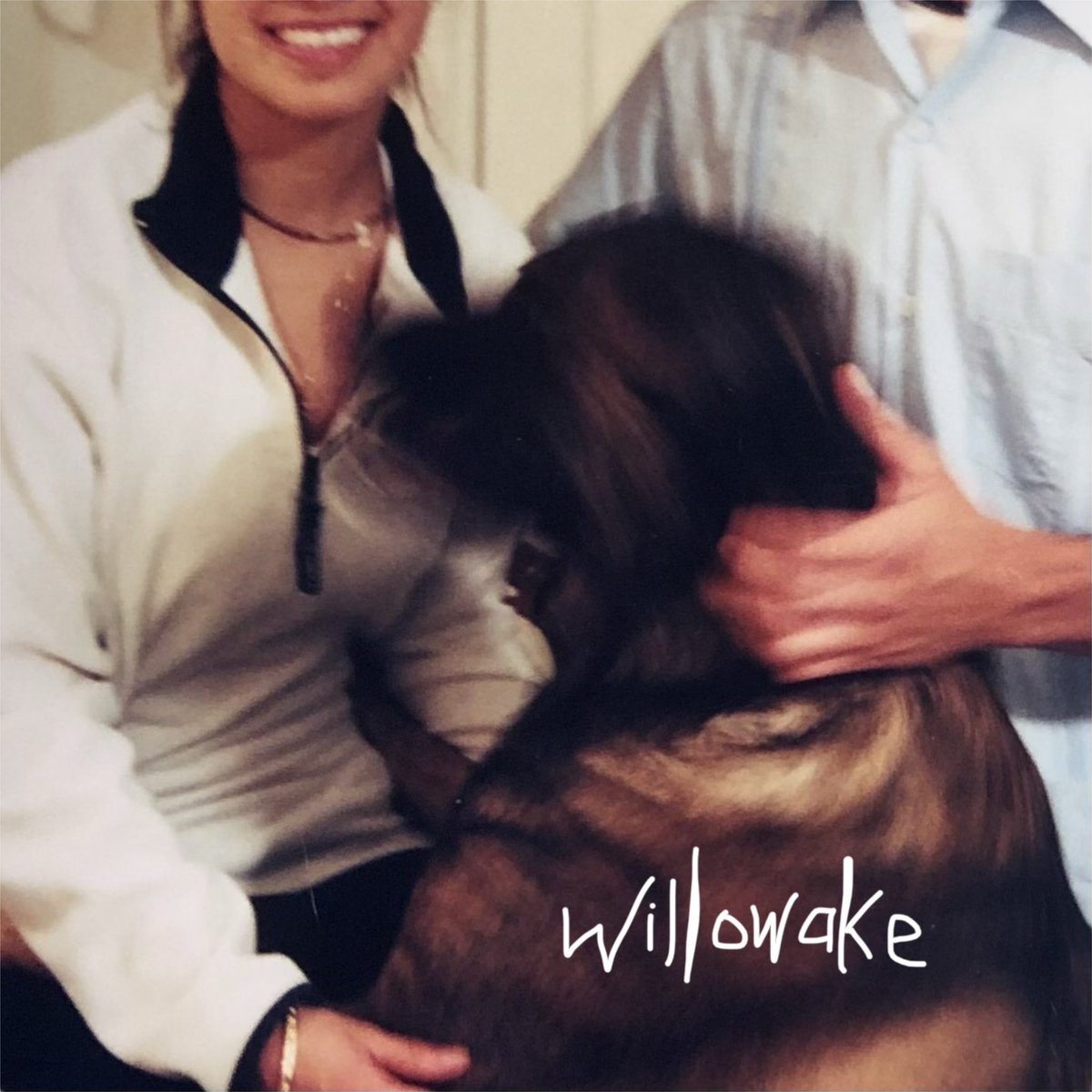 willowake tweet media