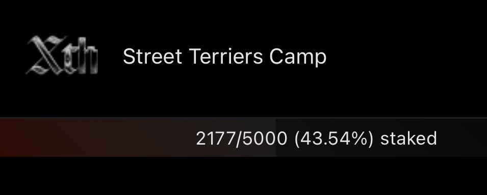 More people are listening ❤️ this is so DOPE! Almost 50% staked leveling up. Xth St is gunna EXPLODE! We need amazing people in the community, if you play poker come have fun with us. #RUFFRUFF