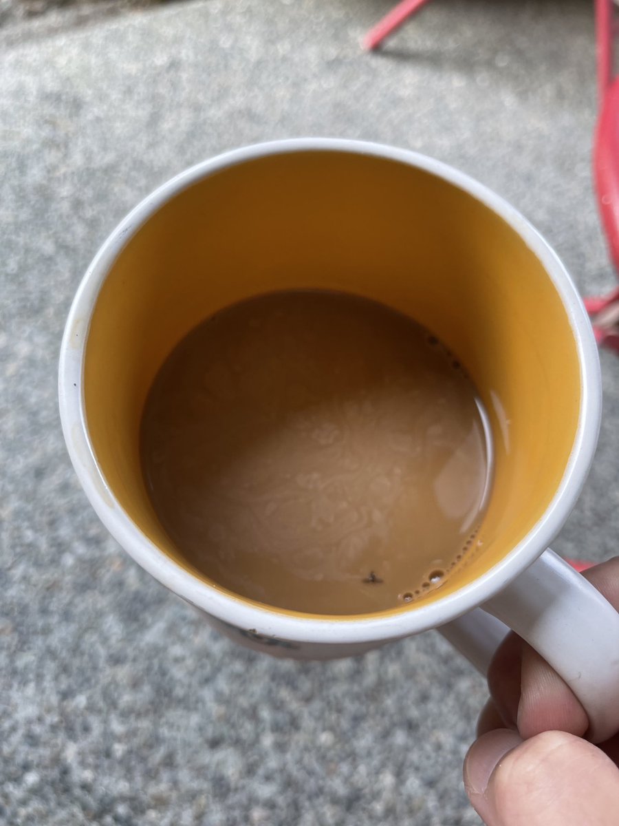 Shelley_Knight1's tweet photo. That moment you take a huge ass rip and want a sip of coffee but thereβs a bug in it. Ewwwwwwww. LOL #Mmemberville #legalizedogstrain #suchfire #stonerbabe πβοΈπΆπ₯π (Bug emoji) Againβ¦ ewwwwwwwww. #ispeakmoirarose https://t.co/8e9G4VGtdZ