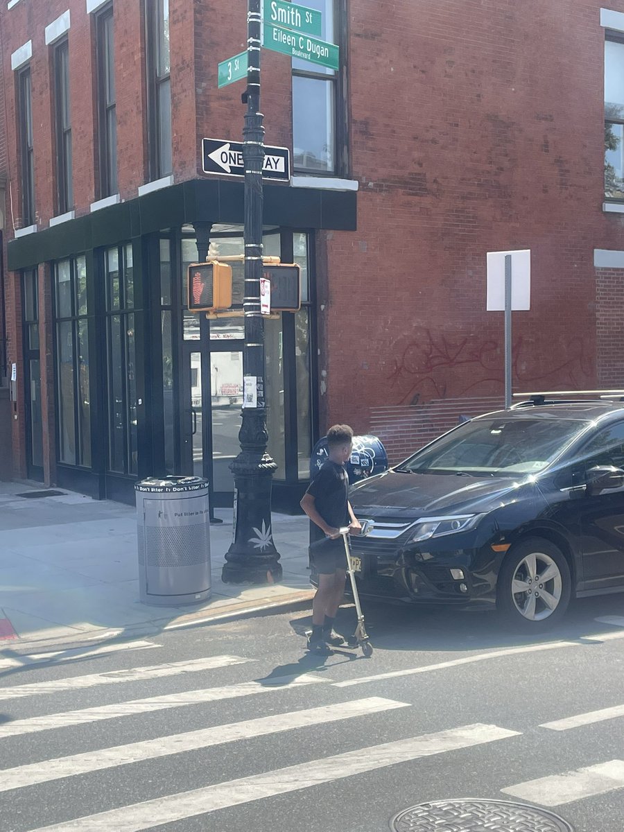 TheOpinionStore's tweet photo. I’ve written to @nyc311 about this partially obscured sign on third Street and Smith and Brooklyn several times and it’s never been resolved. https://t.co/KGBXwwc6NE
