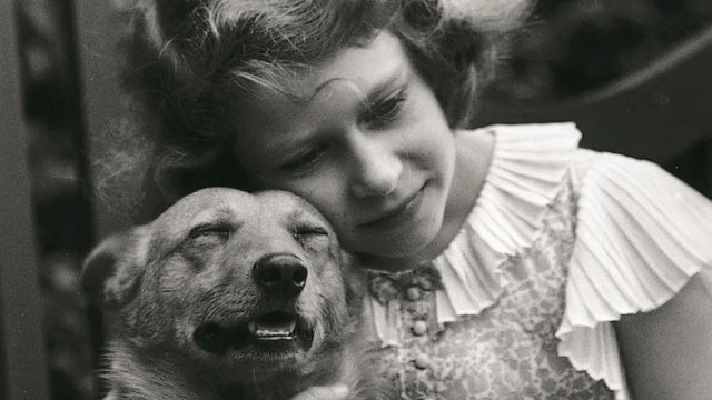 PetNaturally's tweet image. Please note that as a mark of respect we will be CLOSED on MONDAY 19th SEPTEMBER 2022 for The Queens funeral.

Thank you 🙏🏻