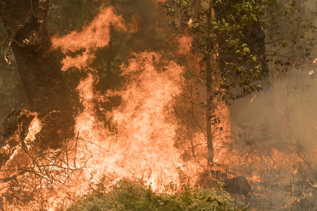 ForestServiceNW's tweet photo. Fire danger is extremely high this weekend w/strong eastern winds blowing hot, dry air across the already dry landscape. This is no time to plan on campfires or using spark-producing equipment. The conditions should only last a couple of days, so let's protect our communities! https://t.co/fBkywuEnrP