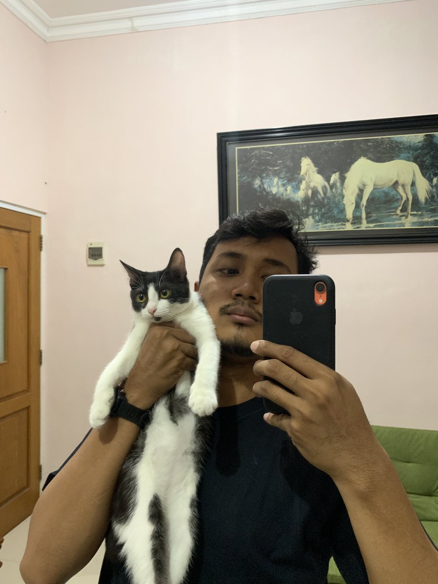 ferrymahar's tweet photo. @kochengfs Kecilnya kirain curut, eh wktu besar jadi kucing gemoy https://t.co/DKBRf9NZU0