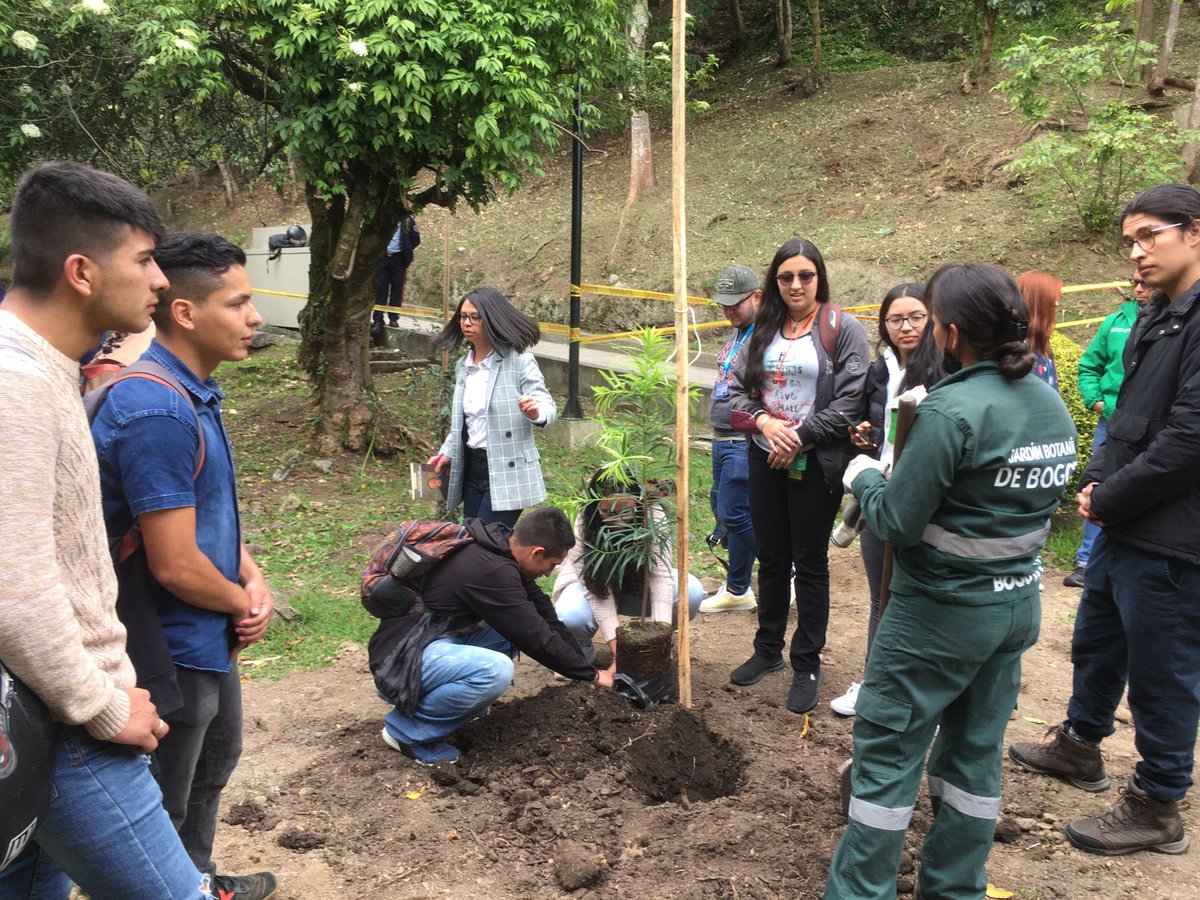 F_UAMERICA's tweet photo. Continuando con las actividades dentro de la agenda de la Semana Mutisiana, hicimos la siembra de varios árboles nativos junto al @JBotanicoBogota en el corredor del Jardín de los Maestros de América cerca a la entrada de nuestro EcoCampus por la 5ta de Bolívar.

#SomosUAmérica https://t.co/uQd6KtZb93