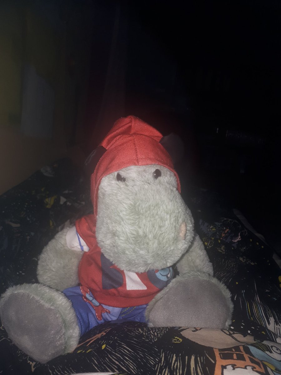 Hi guys! Sorry being inactive. I have had many things to do like sleeping, cheering my human, being the best hippo ever and watching Netflix. My human has done nothing but writing, I'm a little bit bored about it😴. #stuffedanimal #hippopotamus #Twitter #ezrathehippo