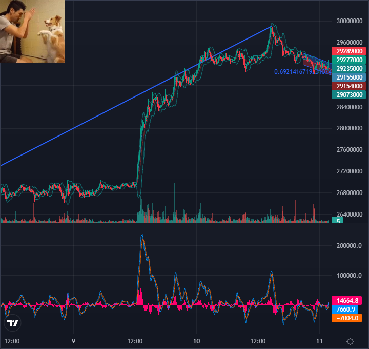 COINRBI tweet media