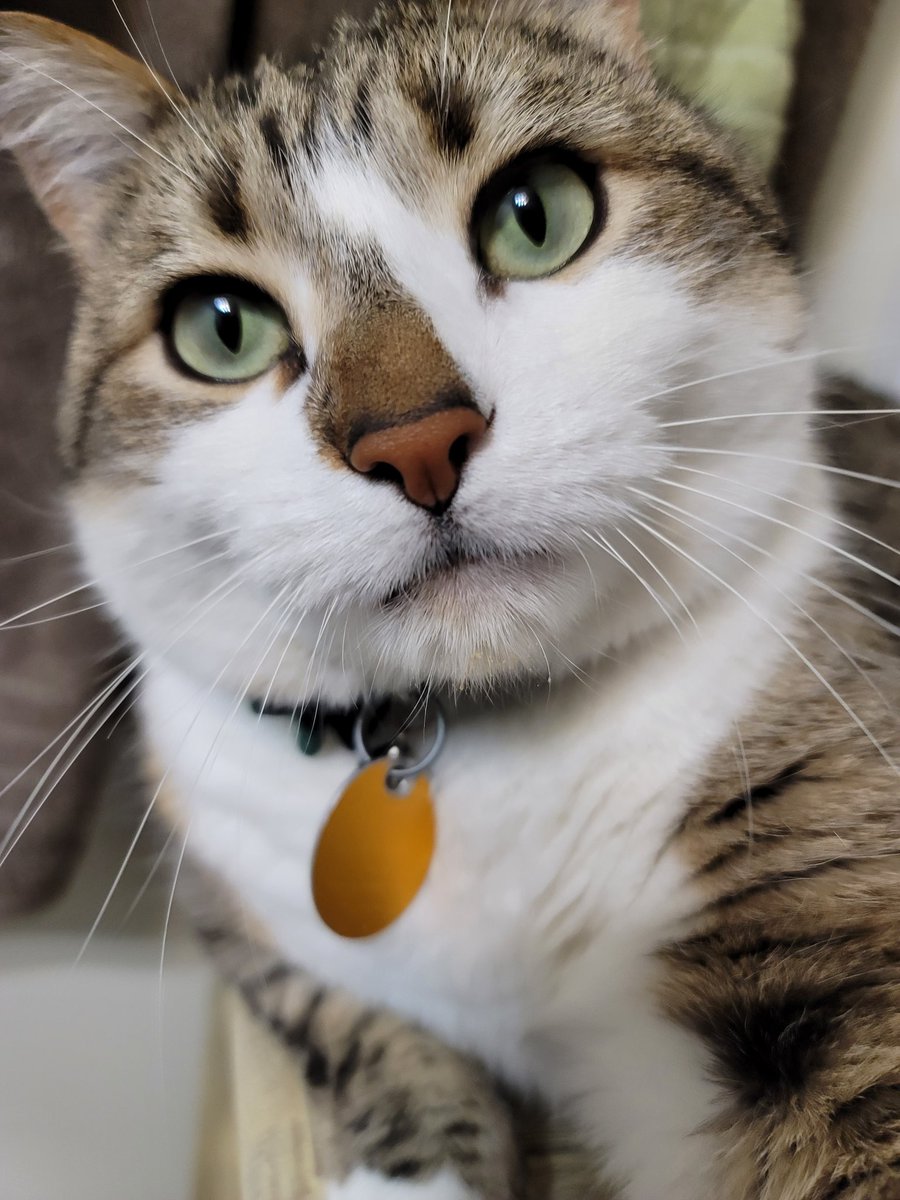 Snow ❄️ tweet media