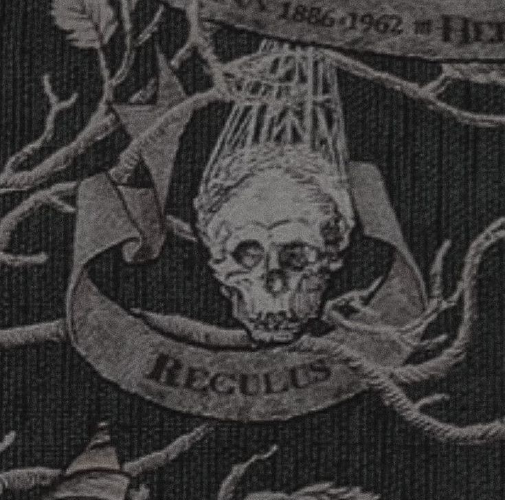 SENTRYSCONFRACT's tweet image. -        we're all going to die . 

        regulus arcturus black . 
        age - flexing . 
        queer  |  ftm .
        ships with chem . 
        the slytherin hero