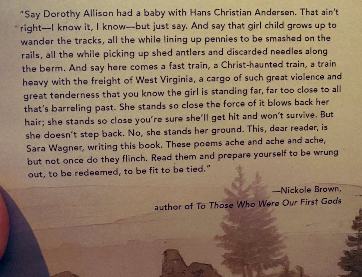 SaraMooreWagne1's tweet photo. Y’all, this blurb for my forthcoming book (preorder!!) Hillbilly Madonna from a poet I absolutely IDOLIZE (@nickolebrown ) is a poem in itself, and I want a print of it to hang on my wall 😭😭😭 https://t.co/cfrfh3c1ks