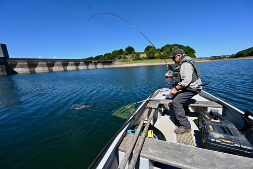 FFFTmag's tweet image. Lovely bubbly! Secrets to catching reservoir trout under blue skies and heat in the October issue.

#troutfishing #rainbowtroutfishing #reservoittrout #hotweather #summerfishing #stillwaterfishing