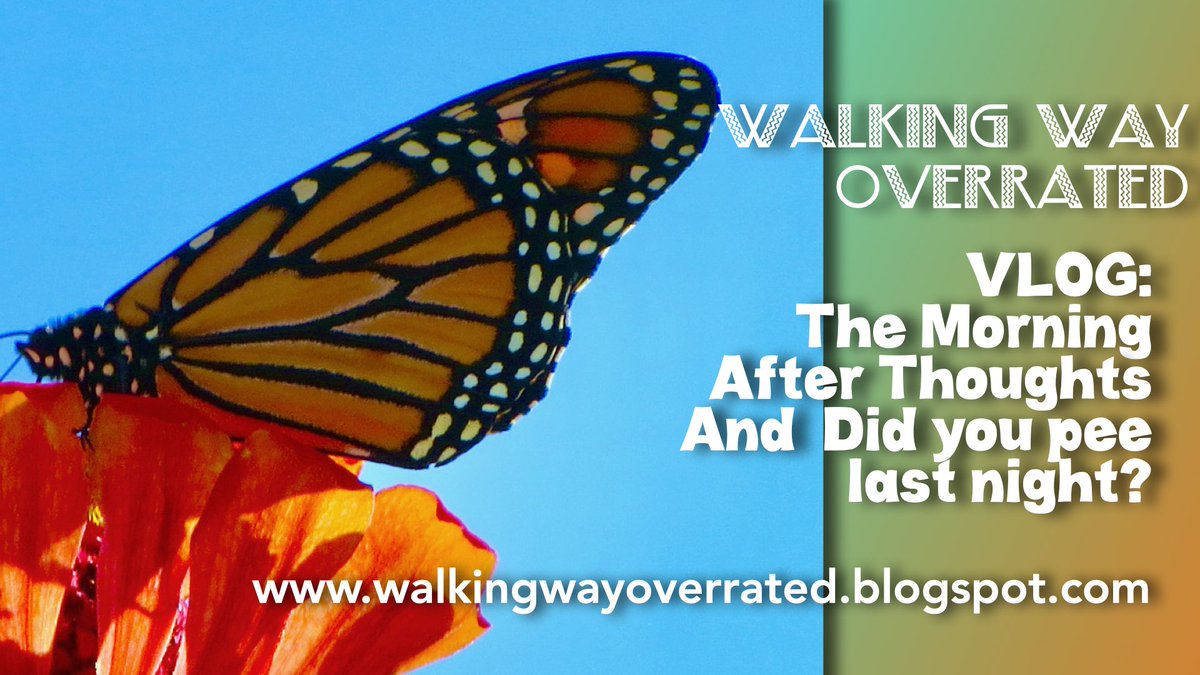 ABergieCreation's tweet photo. Walking, Way Overrated: Vlog The Morning After Sleeping In My Wheelchair- ... https://t.co/GZSEAcnnzU https://t.co/zGit5e18Yw