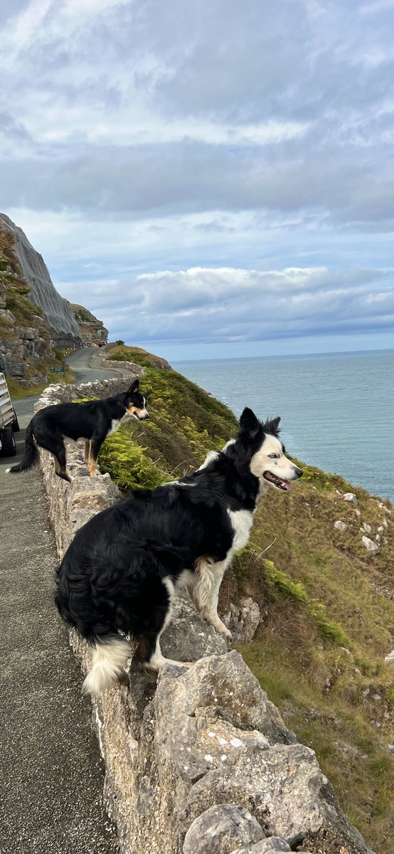 Dan Jones tweet media