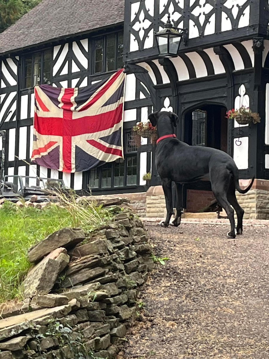 RowdenAbbey's tweet photo. RIP 🖤

#QueenElizabeth #QueenElizabethII https://t.co/MUjWkWSGkW