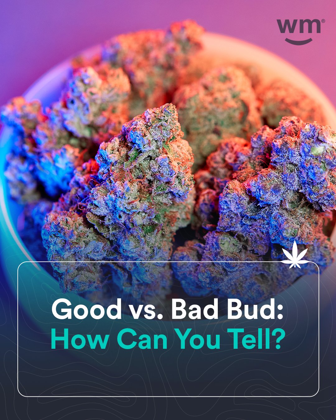 Weedmaps on Twitter "There are plenty of ways to distinguish good weed