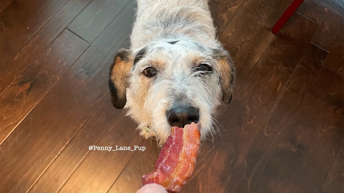 𝗣𝗲𝗻𝗻𝘆 𝗟𝗮𝗻𝗲- Lawn Potato TM tweet media