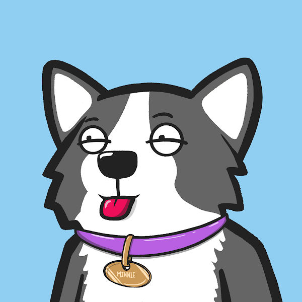 Queens_Corgis's tweet photo. Welcome to the #RoyalFamily of #Corgis Minnie! @Queens_Corgis https://t.co/SwXQ5IaIWJ