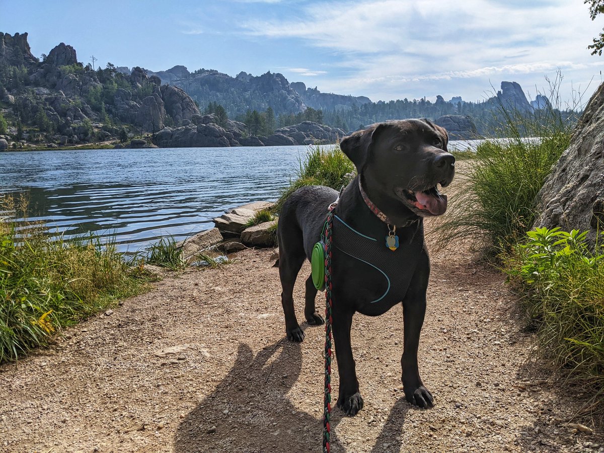 AnakinFessler's tweet photo. Sylvan Lake in the Black Hills National Forest https://t.co/Ehsf6kk9Lt