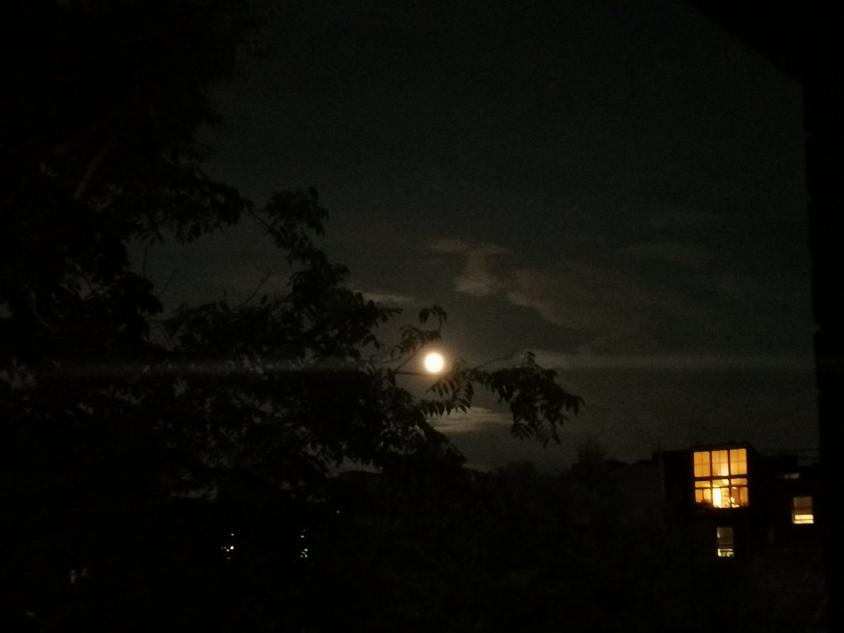 Happy Mid-Autumn festival, 中秋快乐！🌕🌹