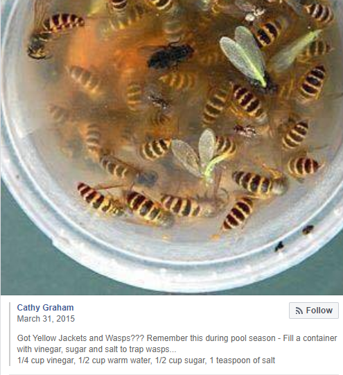 Sens Station! tweet media